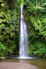 magical waterfall in bali. indonesia - 183093956
