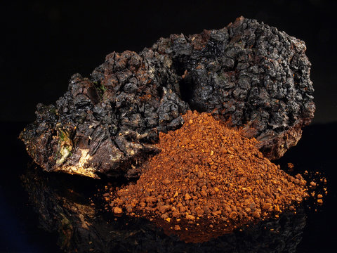 Chaga Pilz - Pulver