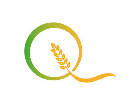 letter Q with wheat seed logo