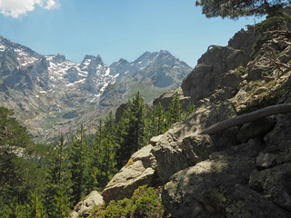 summer scenery of high snow covered mountain peaks on corsician alpes with pine trees, green bushes and blue sky background