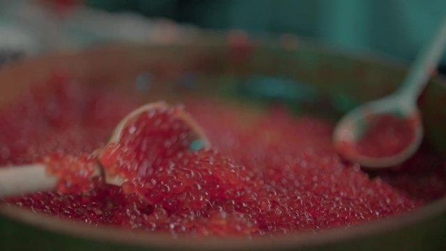 Red caviar dripping from a traditional wooden spoon. Macro food in slow motion,