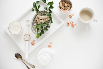 Stylish white table top, social media flat lay with plants