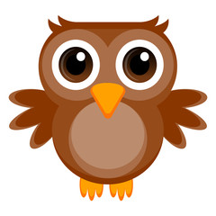 Isolated cute owl