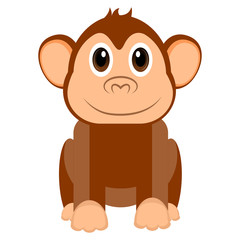 Isolated cute monkey