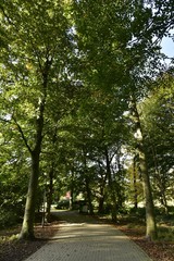 Allée en pavés ombragé sous les arbres majestueux près de l'entrée principale du Vrijbroekpark à Malines