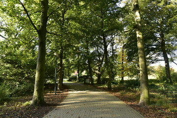 Fototapeta premium Allée ombragée près de l'entrée principal du Vrijbroekpark à Malines