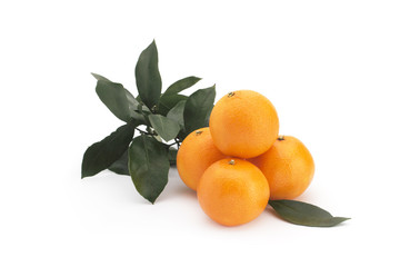 Orange mandarin with green leaves on a white background