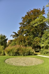 Cercle en pavés sur une pelouse devant la végétation luxuriante en automne au Vrijbroekpark à Malines