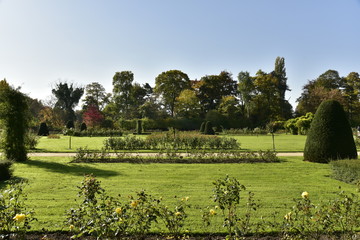 Haies et parterres de roses en automne dans un cadre de verdure exceptionnel au Vrijbroek Park à Malines
