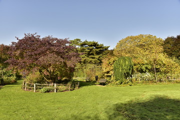 Aire de repos au milieu de la végétation luxuriante en automne à l'arboretum du Vrijbroekpark à Malines