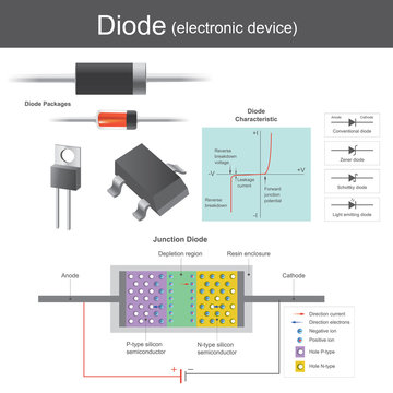 Voltage is applied across the junction however, the p type anode is made positive and the n-type cathode made negative. Illustration vector design.