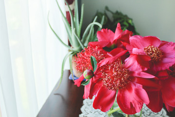 Bouquet