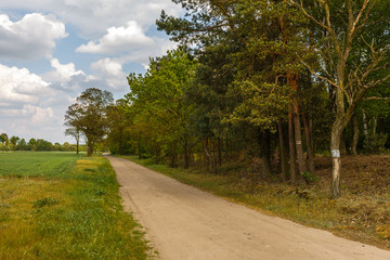 Fototapeta na wymiar Country road in Poland.