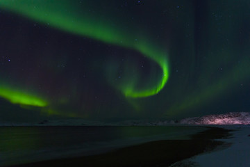 Aurora Borealis (Northern Lights) above coastal sea