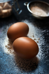 Fresh eggs standing in flour