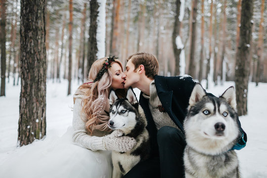 Blurred newlyweds are kissing on background of siberian husky. Winter wedding. Artwork