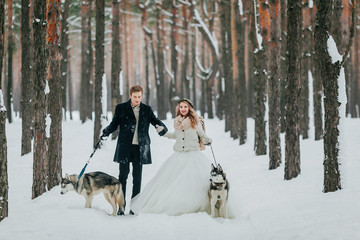 Fototapeta na wymiar Bride and groom walks in the snowy forest with two siberian husky. Winter wedding. Artwork