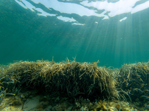 What lies beneath (3)