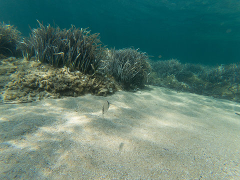 What lies beneath (4)