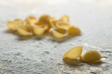 Italian pasta