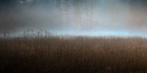 Pastelowa Jesień i Mgła  © Wojciech Lisiński
