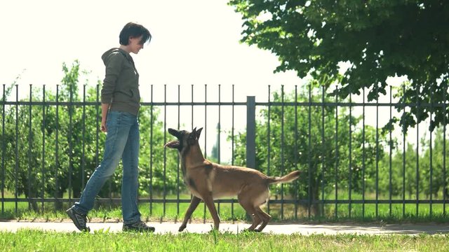 Training of a dog. Woman is training her dog.