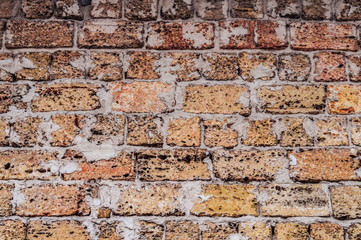 Beautiful brick wall.
