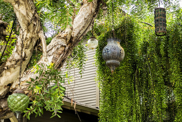 Venice Canals, hanging lamps on the tree - Venice Beach, Los Angeles, California, USA