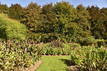 Fototapeta na wymiar Le jardin des dahlias en automne sous un ciel bleu au Vrijbroekpark à Malines