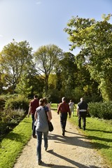 Fototapeta na wymiar Promenade entre amis sous un soleil d'automne ,au Vrijbroekpark à Malines