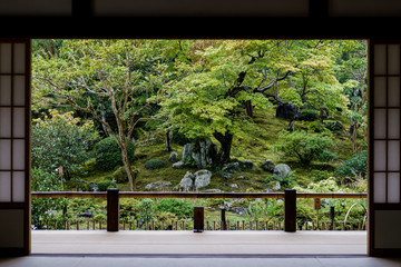 Japanese garden view from door