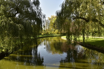 Fototapeta na wymiar Bras de l'étang principal, ombragé sous les feuillage des arbres au Vrijbroekpark à Malines