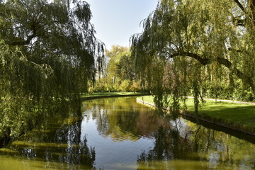 Fototapeta na wymiar Bras de l'étang principal, ombragé sous les feuillage des arbres au Vrijbroekpark à Malines