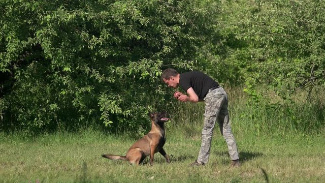 Dog is barking on a man with ball. Dog is barking on an inclined man with a little red ball.