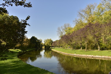 Fototapeta na wymiar Courbe du chenal principal et son effet miroir reliant le petit et le grand étang dans un cadre verdoyant au Vrijbroekpark à Malines