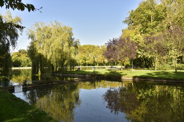 Fototapeta na wymiar Petit muret coupant le chenal avant l'étang principal sous la nature luxuriante en automne au Vrijbroekpark à Malines