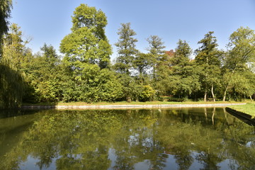 Les arbres reflétant dans la pièce d'eau presque carré au bout de l'étang principal ,au Vrijbroekpark à Malines