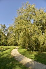 Fototapeta na wymiar Chemin en gravier concassé au milieu d'un étroit gazon entre bois et végétation ,au Vrijbroekpark à Malines
