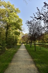 Fototapeta na wymiar Chemin en gravier beige longeant le chenal principal du Vrijbroekpark à Malines