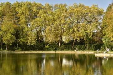 Fototapeta na wymiar Arbres à feuillage dorée le long de l'étang principal du Vrijbroekpark à Malines