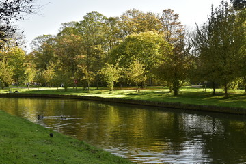 Fototapeta na wymiar Le chenal reliant les deux étangs dans l'ombre ,au Vrijbroekpark à Malines 