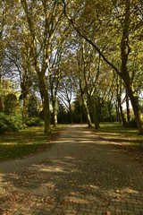 Cercle en pavés au milieu d'une allée ombragée au Vrijbroekpark à Malines 