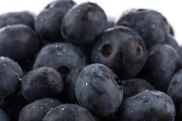 blueberries isolated close up