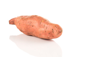 Sweet potato on the white background