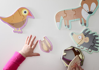 Kid collects an animal figure from puzzles