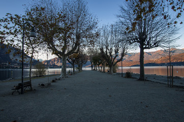 a long avenue of bare trees in the autumn leads to the small beach