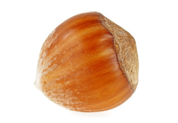 Hazelnut isolated on white background