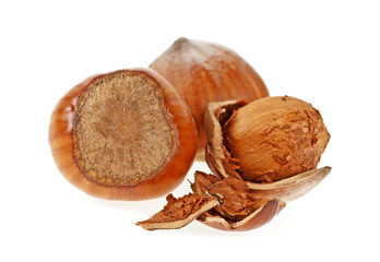 Hazelnuts isolated on a white background