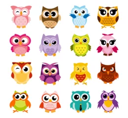 Wall murals Owl Cartoons Vector illustration of colorful cartoon funny owls set on white background. Happy and joyful birds set in flat style.
