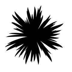 Black and White Flowers Silhouette